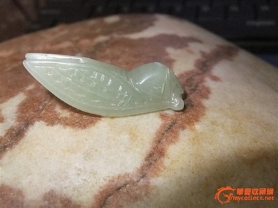 正品昆仑玉玉蝉_正品昆仑玉玉蝉价格_正品昆仑玉玉蝉图片_来自藏友mch791219_玉器_地摊交易_华夏收藏网 cang.com